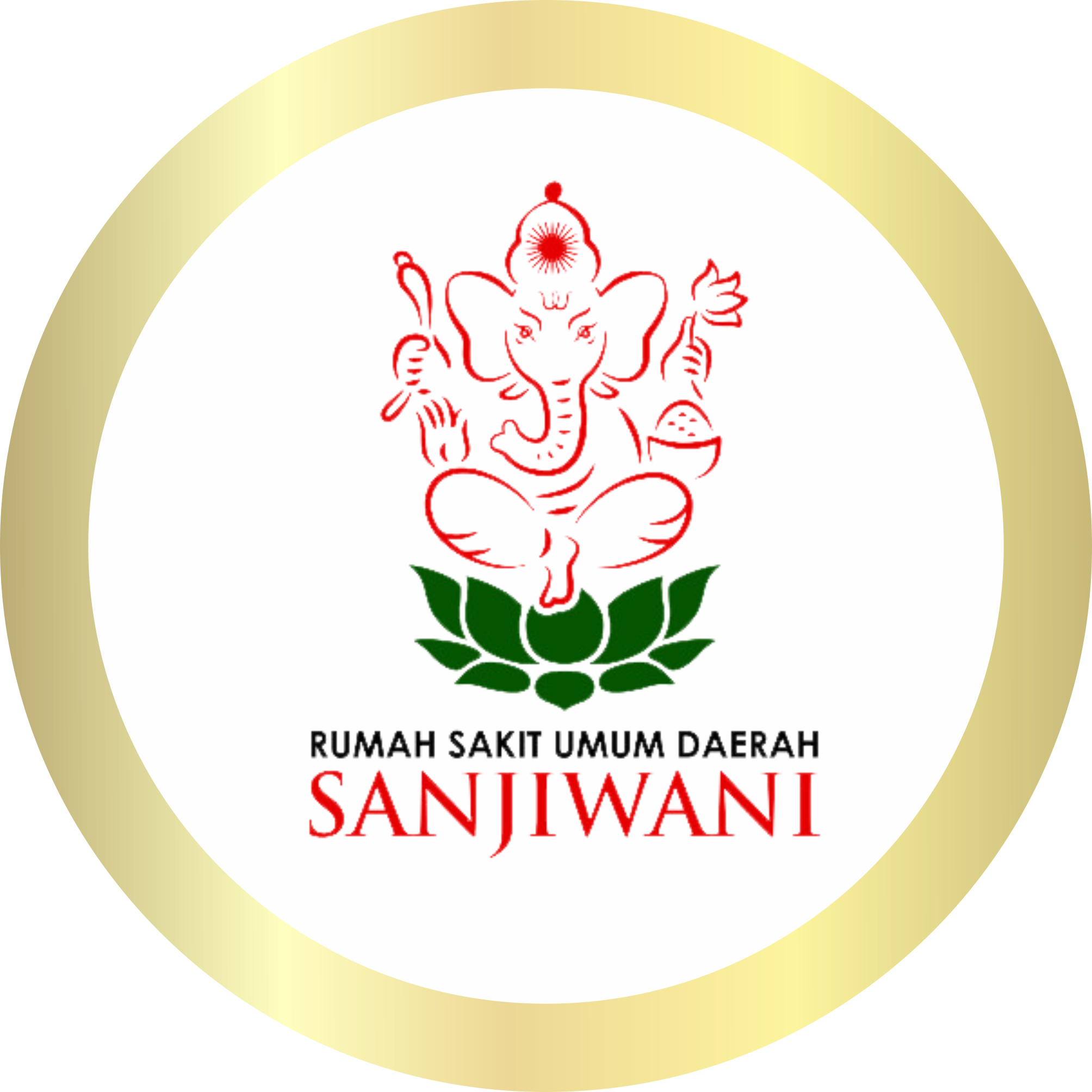 Logo RSUD Sanjiwani